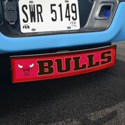 Chicago Bulls Auto Accessories