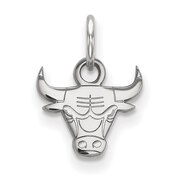 Chicago Bulls Jewelry