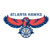 Atlanta Hawks