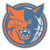 Charlotte Bobcats