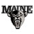 Maine Black Bears