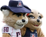 Arizona Wildcats