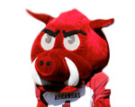 Arkansas Razorbacks