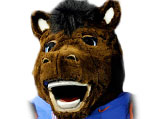 Boise State Broncos