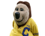 California Golden Bears