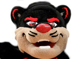 Cincinnati Bearcats