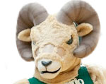 Colorado State Rams