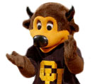 Colorado Buffaloes