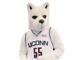 Connecticut Huskies