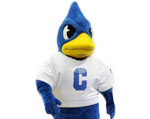 Creighton Bluejays