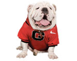 Georgia Bulldogs