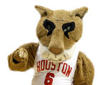 Houston Cougars