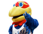 Kansas Jayhawks