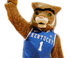 Kentucky Wildcats