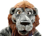 Loyola Marymount Lions