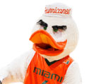 Miami (FL) Hurricanes