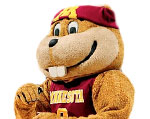 Minnesota Golden Gophers