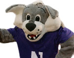 Northwestern Wildcats