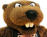 Oregon State Beavers