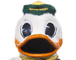 Oregon Ducks