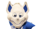 Saint Louis Billikens