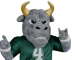 South Florida Bulls