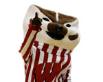 Wisconsin Badgers