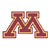 Minnesota Golden Gophers