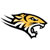 Towson Tigers