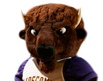 Lipscomb Bisons