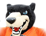 Mercer Bears