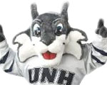 New Hampshire Wildcats