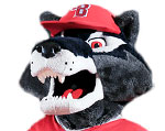 Stony Brook Seawolves