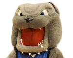 UNC Asheville Bulldogs