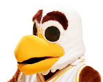 Winthrop Eagles