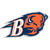 Bucknell Bison