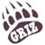 Montana Grizzlies