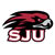 Saint Josephs Hawks