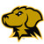 UMBC Retrievers