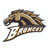 Western Michigan Broncos