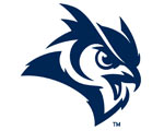 rice owls