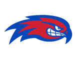 UMass Lowell River Hawks